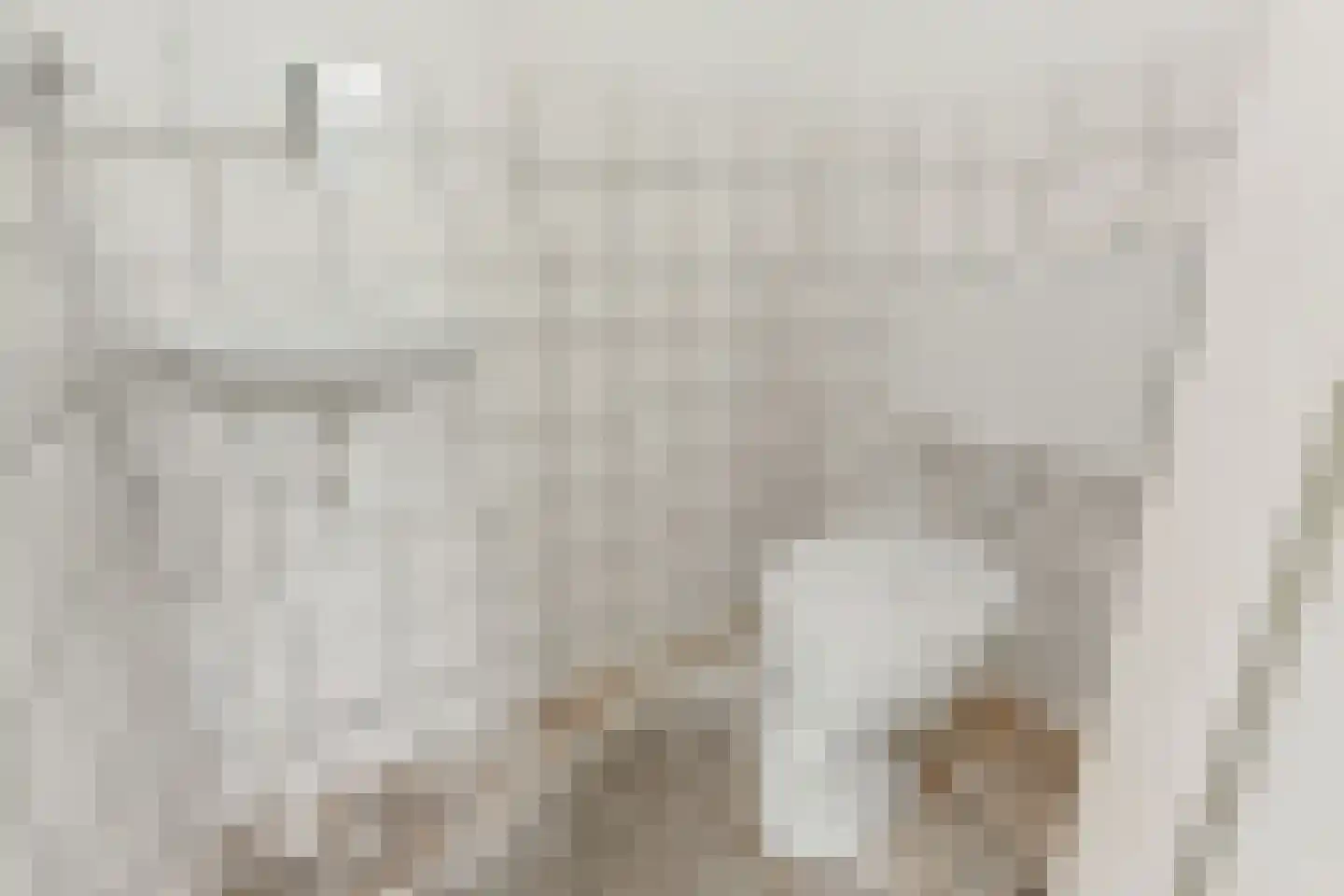 Boschlust 18 Gouda thumbnail 7