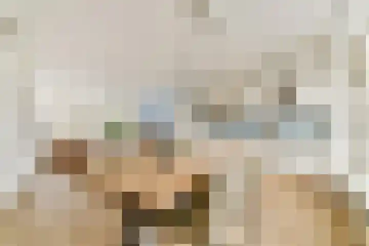 Boschlust 8 Gouda thumbnail 13