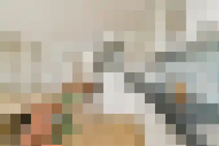 Boschlust 8 Gouda thumbnail 14