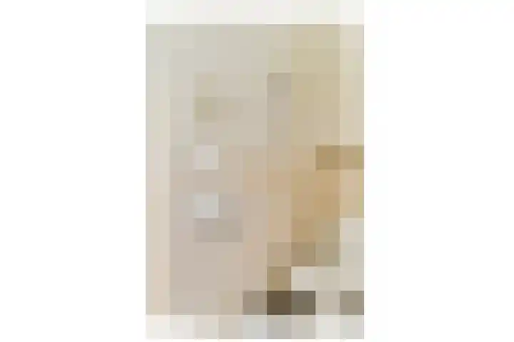 Boschlust 8 Gouda thumbnail 16