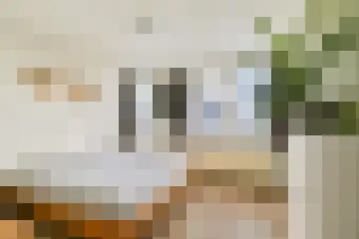 Boschlust 8 Gouda thumbnail 17