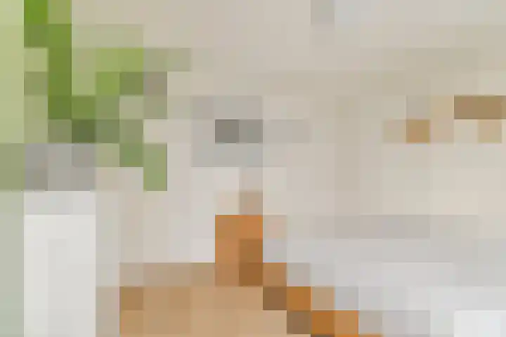 Boschlust 8 Gouda thumbnail 18