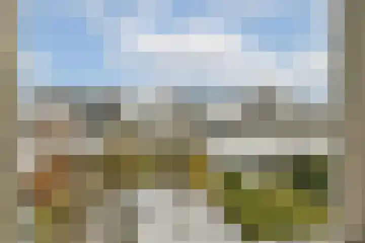 Boschlust 8 Gouda thumbnail 19