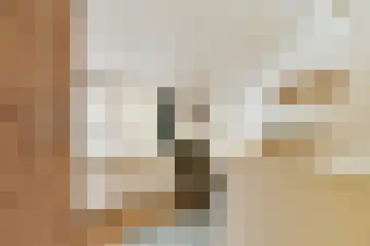 Boschlust 8 Gouda thumbnail 22