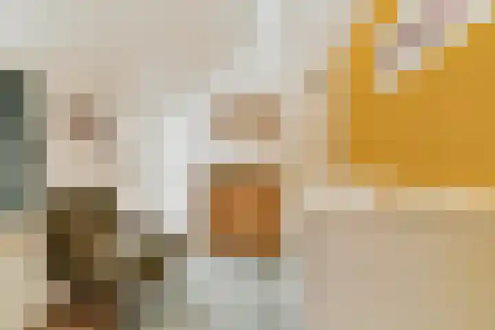 Boschlust 8 Gouda thumbnail 23