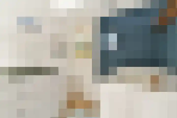 Boschlust 8 Gouda thumbnail 25