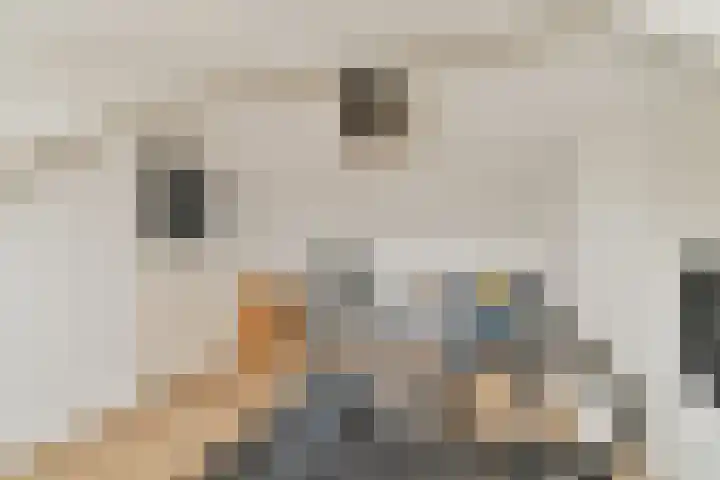 Boschlust 8 Gouda thumbnail 32