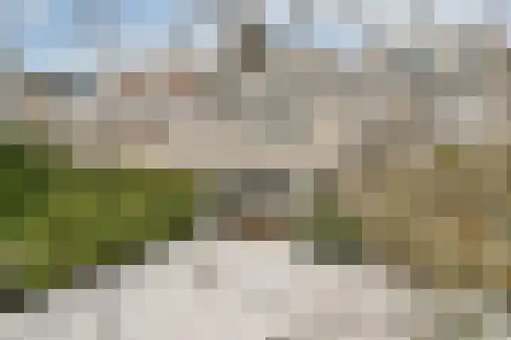 Boschlust 8 Gouda thumbnail 33