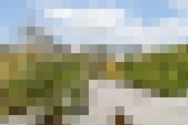 Boschlust 8 Gouda thumbnail 36