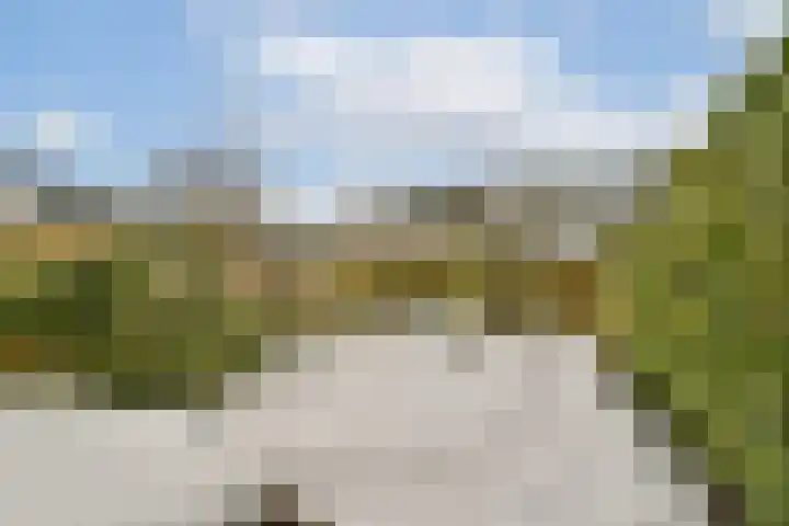 Boschlust 8 Gouda thumbnail 37
