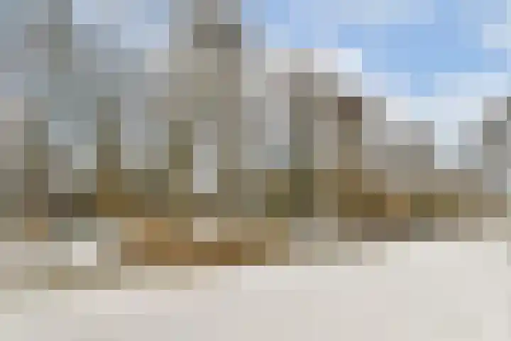 Boschlust 8 Gouda thumbnail 39