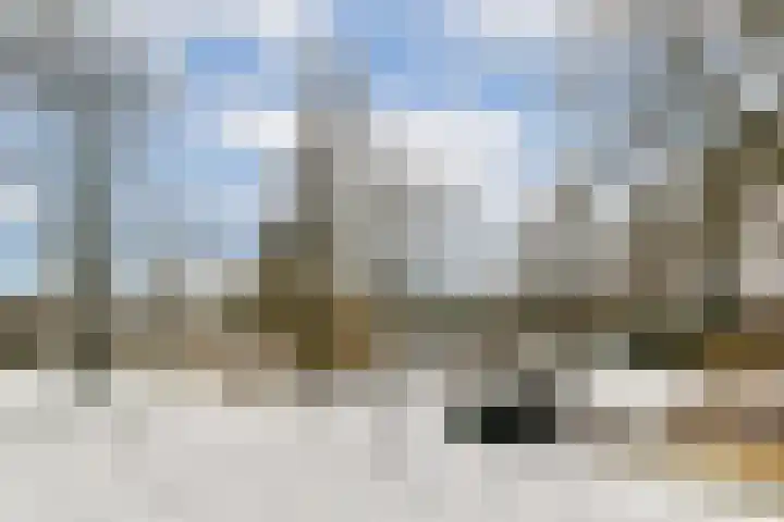 Boschlust 8 Gouda thumbnail 40