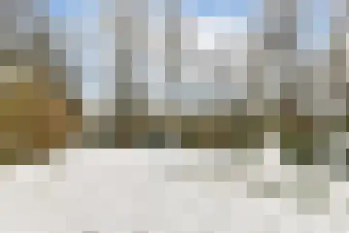 Boschlust 8 Gouda thumbnail 41