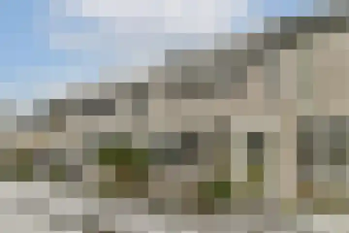 Boschlust 8 Gouda thumbnail 6