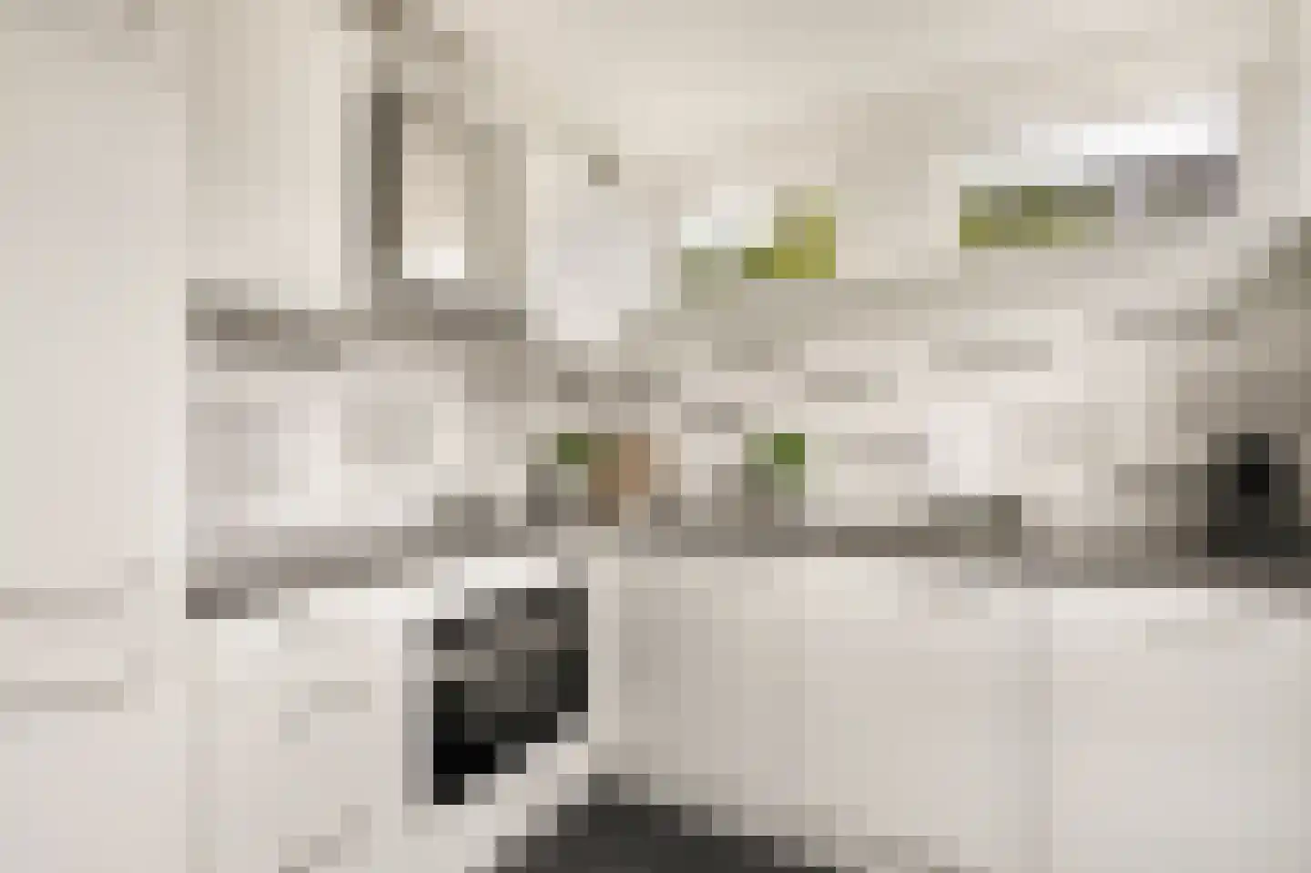 Boschmansweg 21 Schoorl thumbnail 16