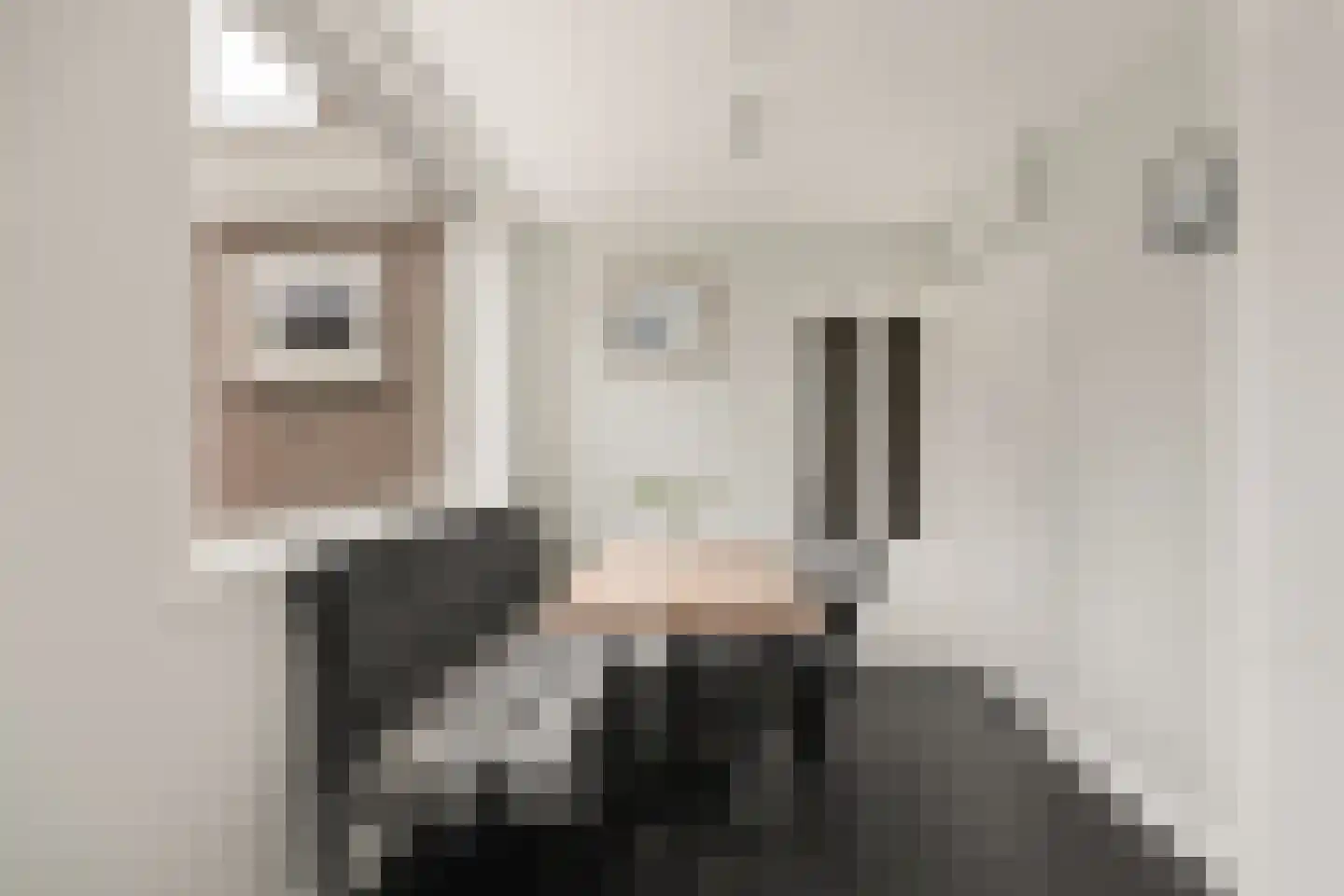 Boschmansweg 21 Schoorl thumbnail 16