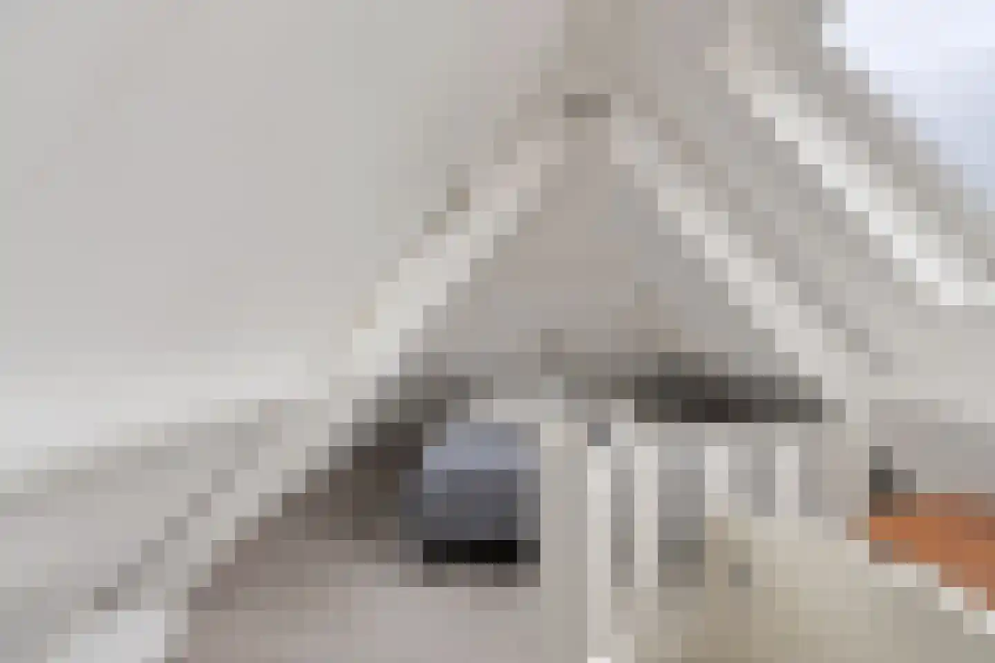 Boschmansweg 21 Schoorl thumbnail 24