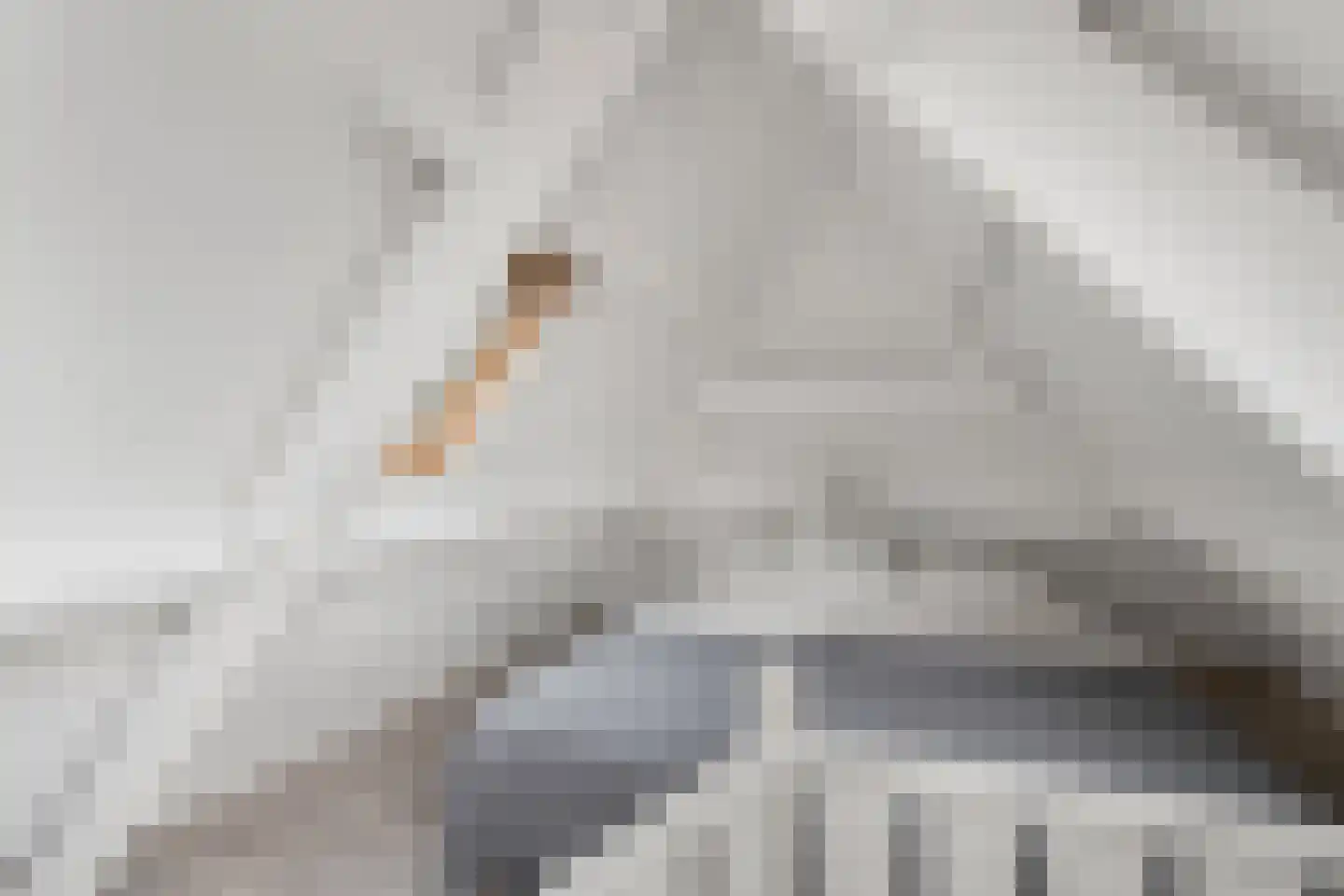 Boschmansweg 21 Schoorl thumbnail 25