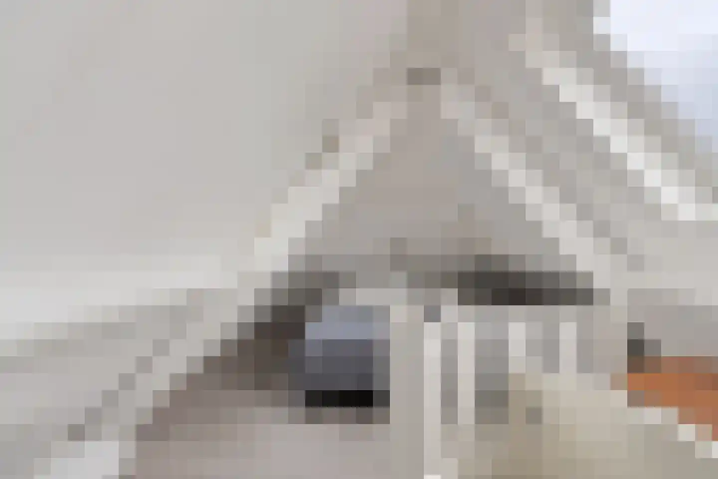 Boschmansweg 21 Schoorl thumbnail 26