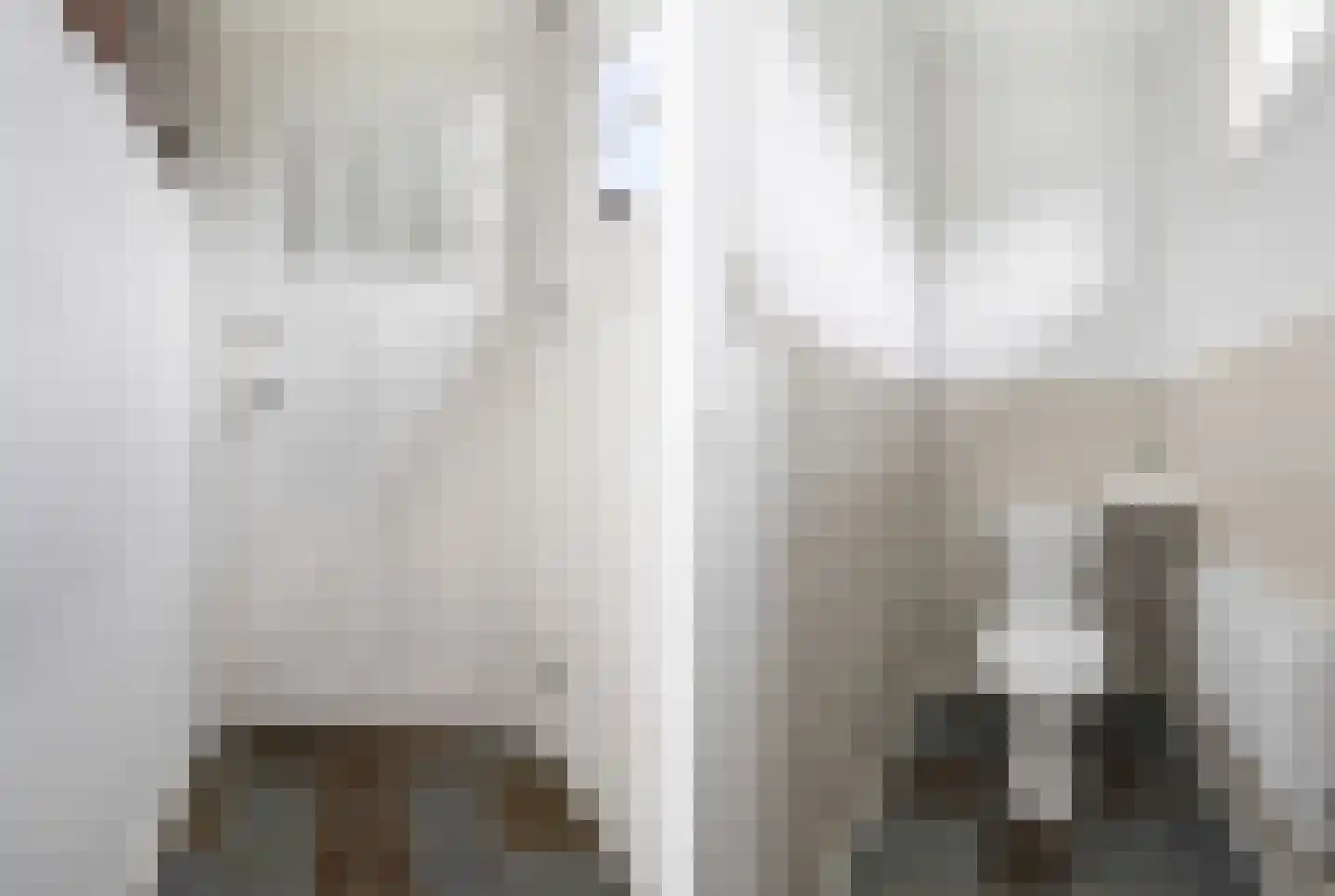 Boschmansweg 21 Schoorl thumbnail 29
