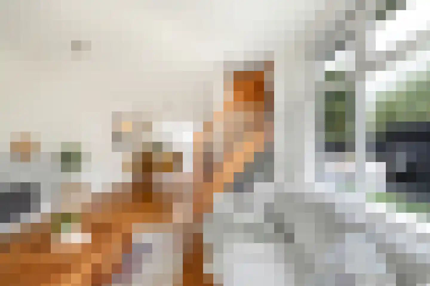Boschmansweg 21 Schoorl thumbnail 32
