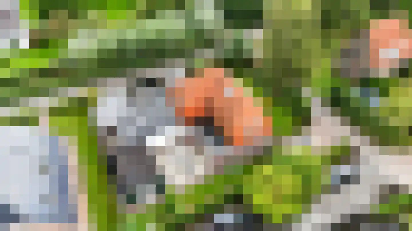 Boschmansweg 21 Schoorl thumbnail 34
