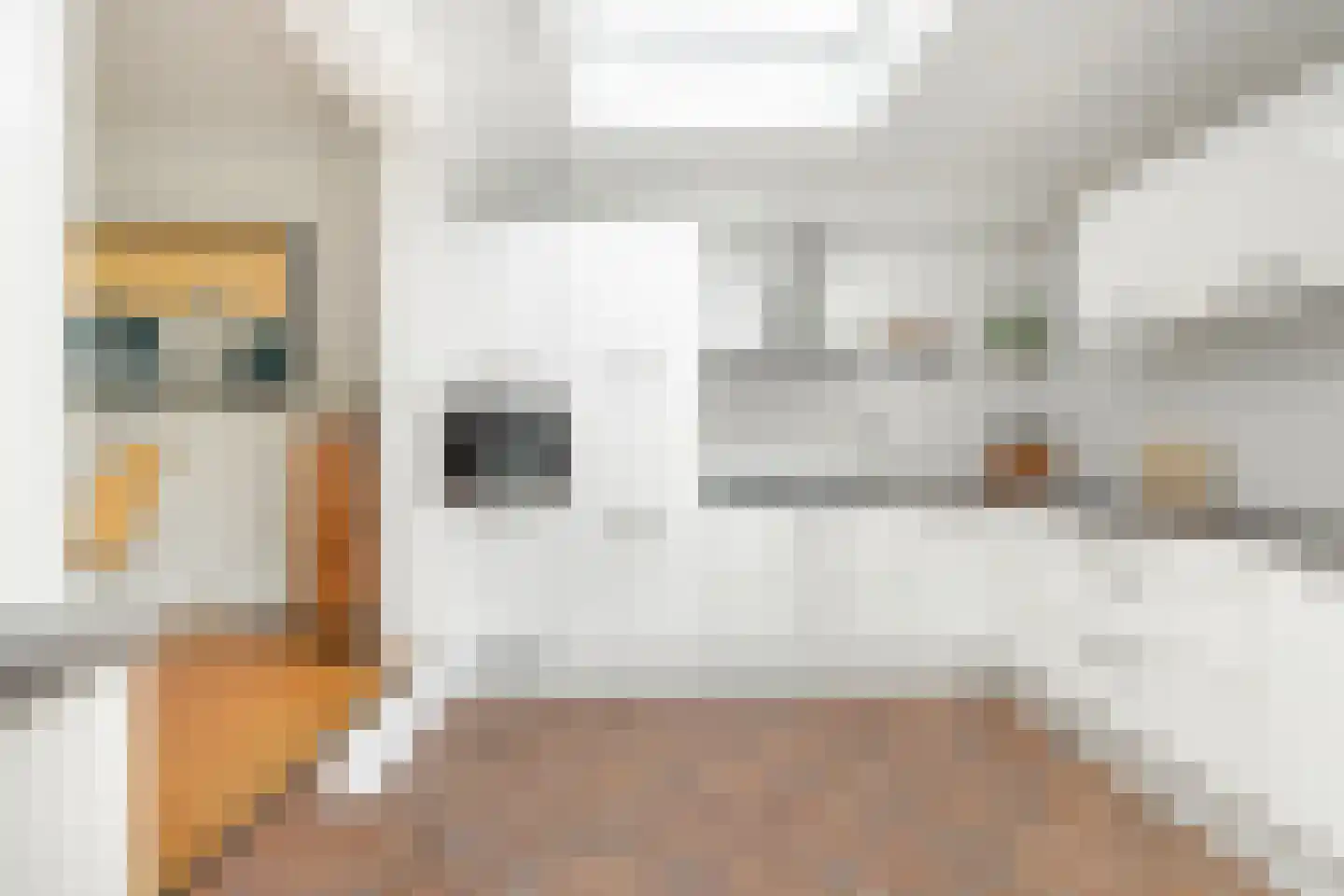 Boschmansweg 21 Schoorl thumbnail 42
