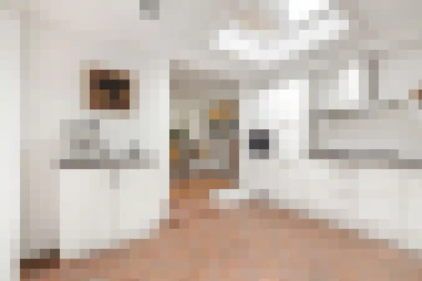 Boschmansweg 21 Schoorl thumbnail 43