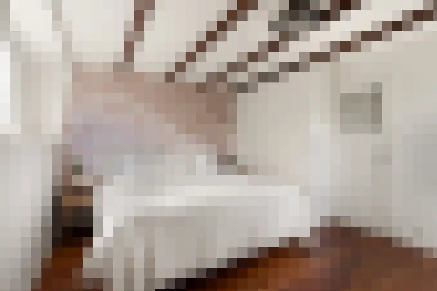 Boschmansweg 21 Schoorl thumbnail 45
