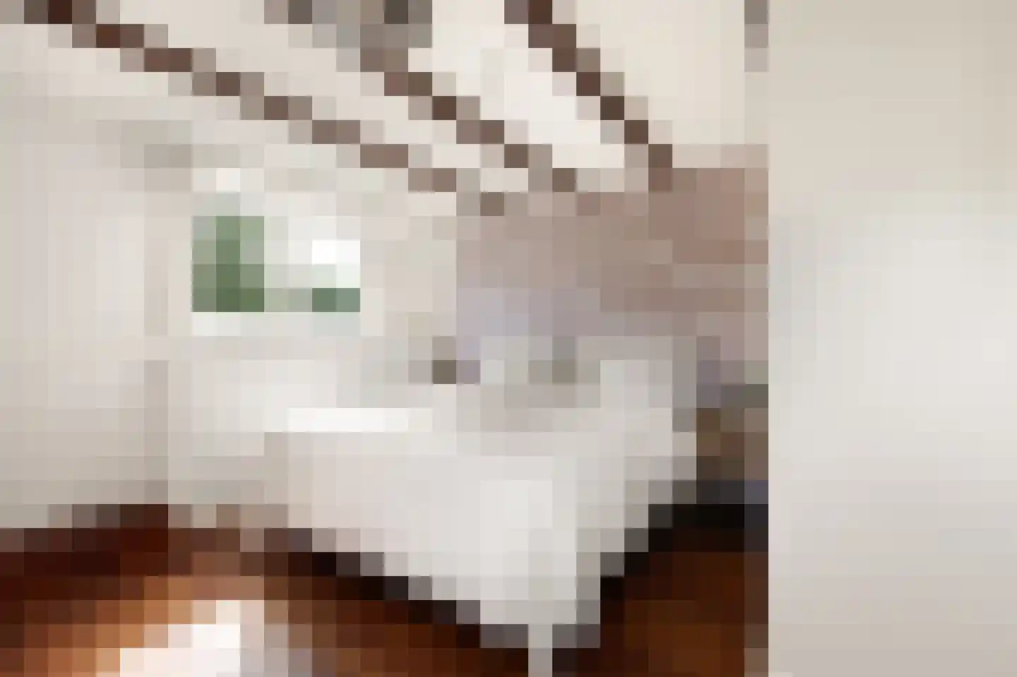 Boschmansweg 21 Schoorl thumbnail 46