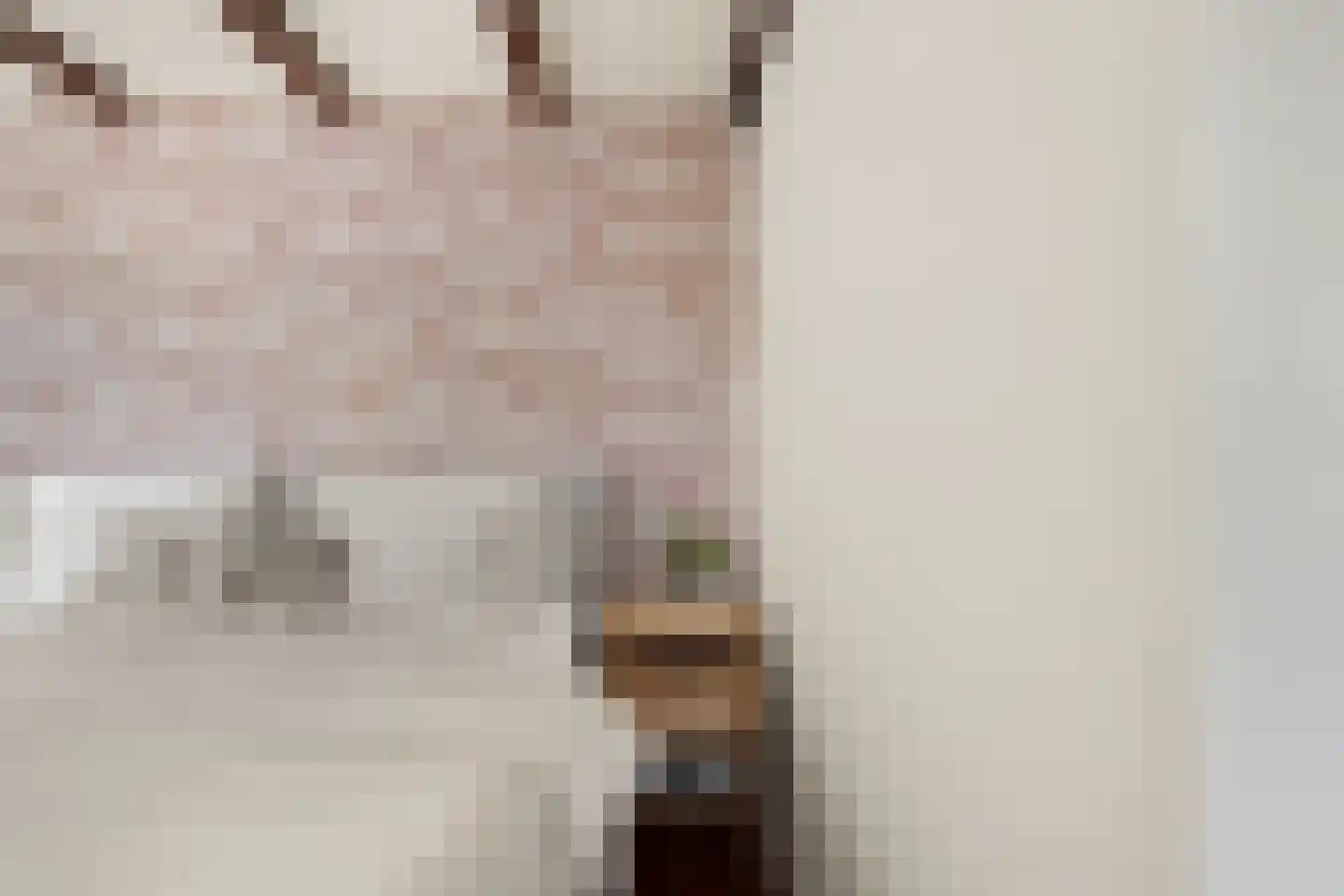 Boschmansweg 21 Schoorl thumbnail 47