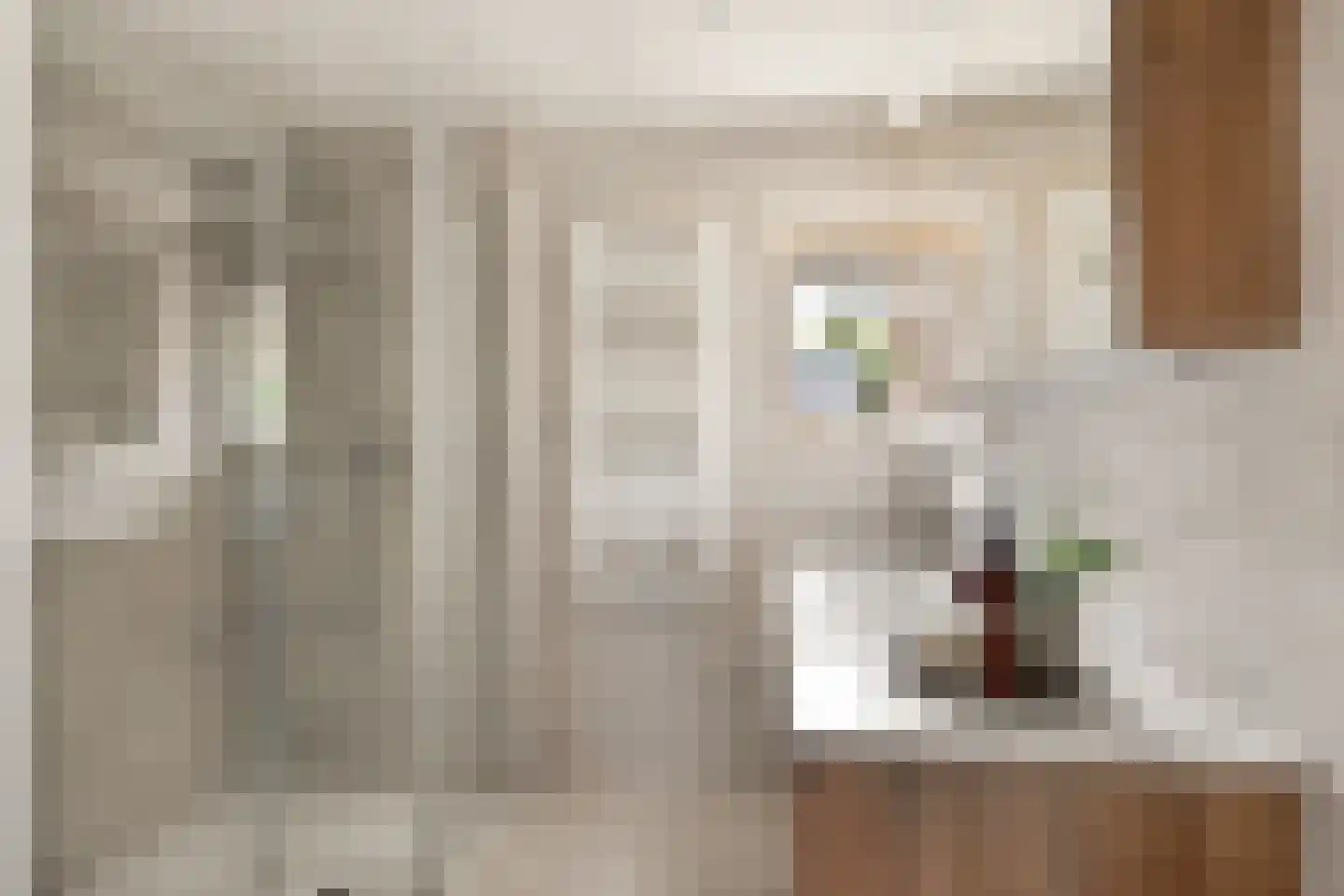 Boschmansweg 21 Schoorl thumbnail 49