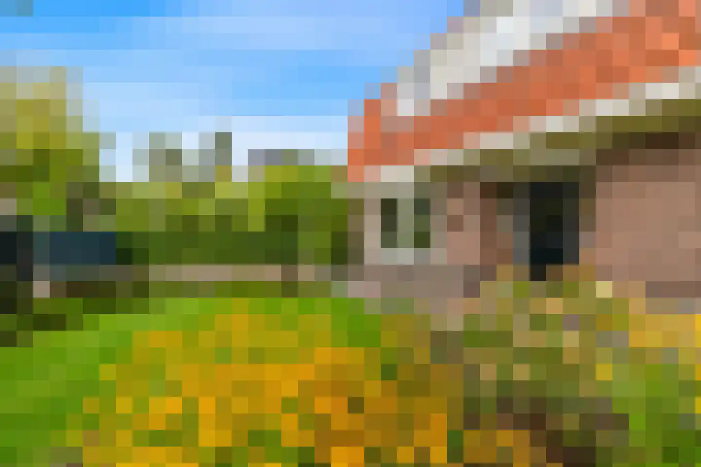 Boschmansweg 21 Schoorl thumbnail 5