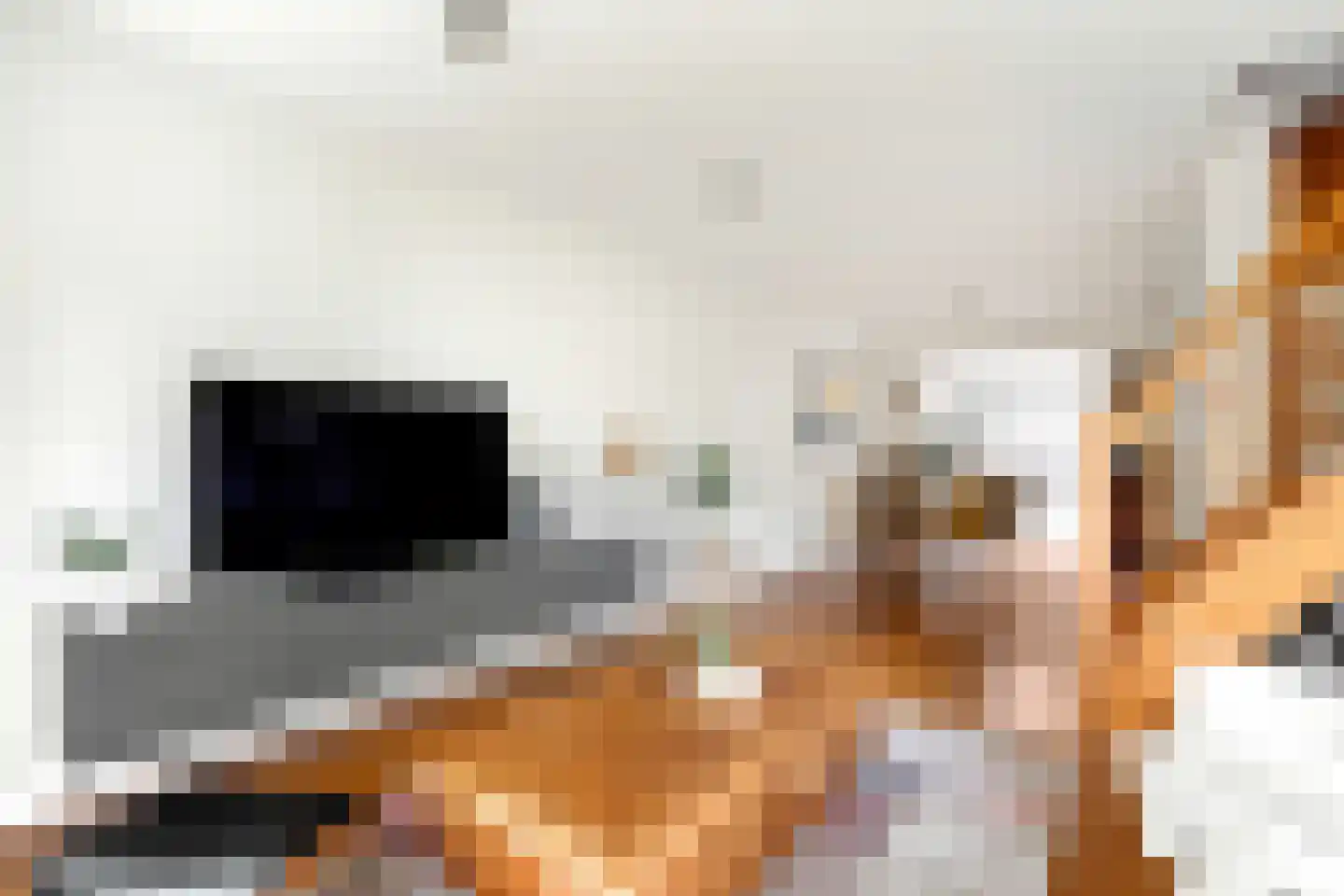 Boschmansweg 21 Schoorl thumbnail 50