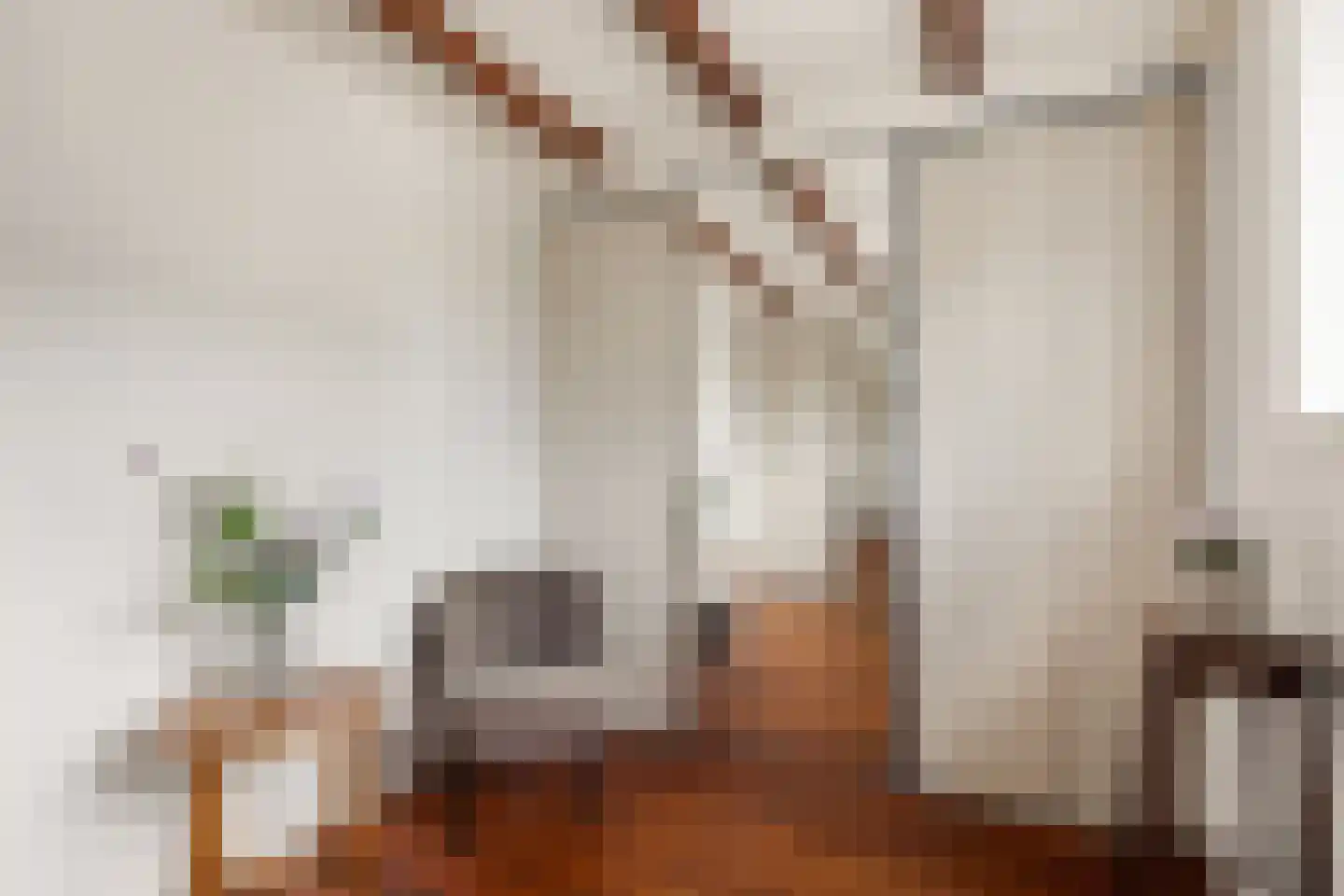 Boschmansweg 21 Schoorl thumbnail 51