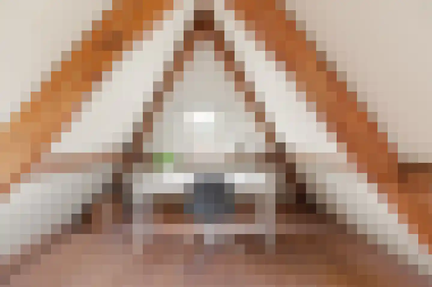 Boschmansweg 21 Schoorl thumbnail 55