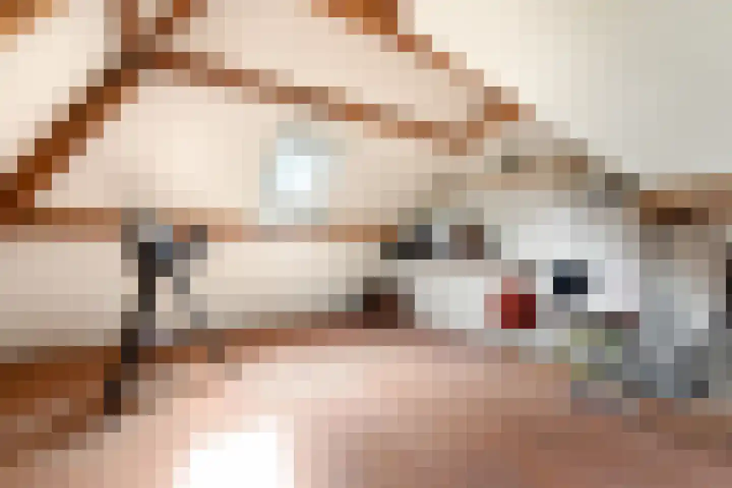 Boschmansweg 21 Schoorl thumbnail 56