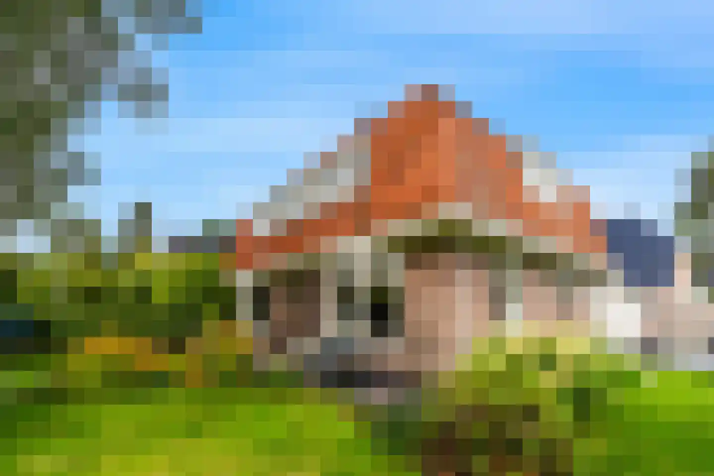 Boschmansweg 21 Schoorl thumbnail 57