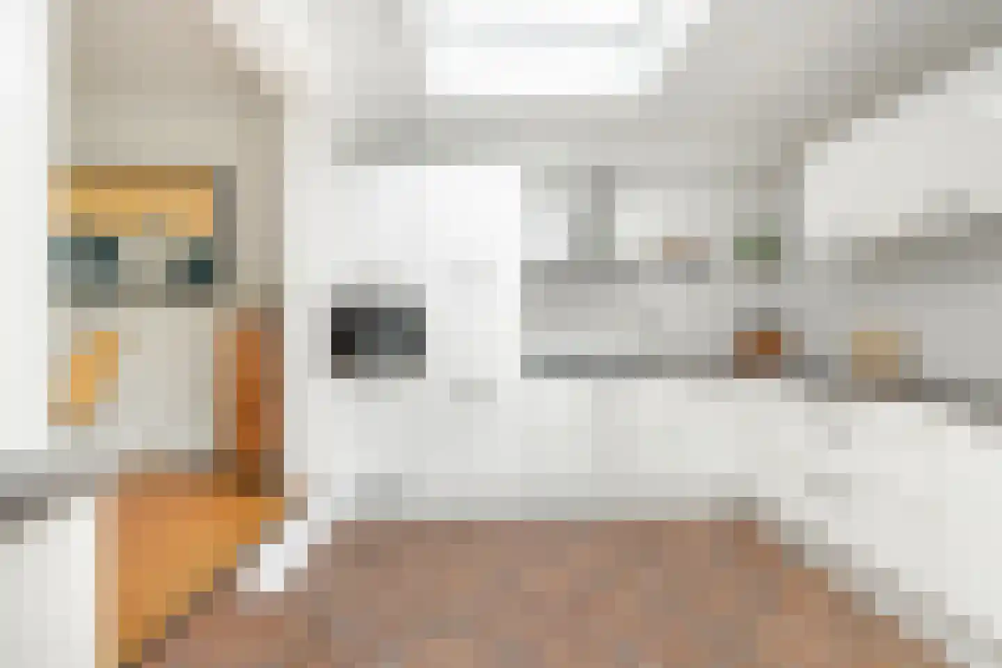 Boschmansweg 21 Schoorl thumbnail 59