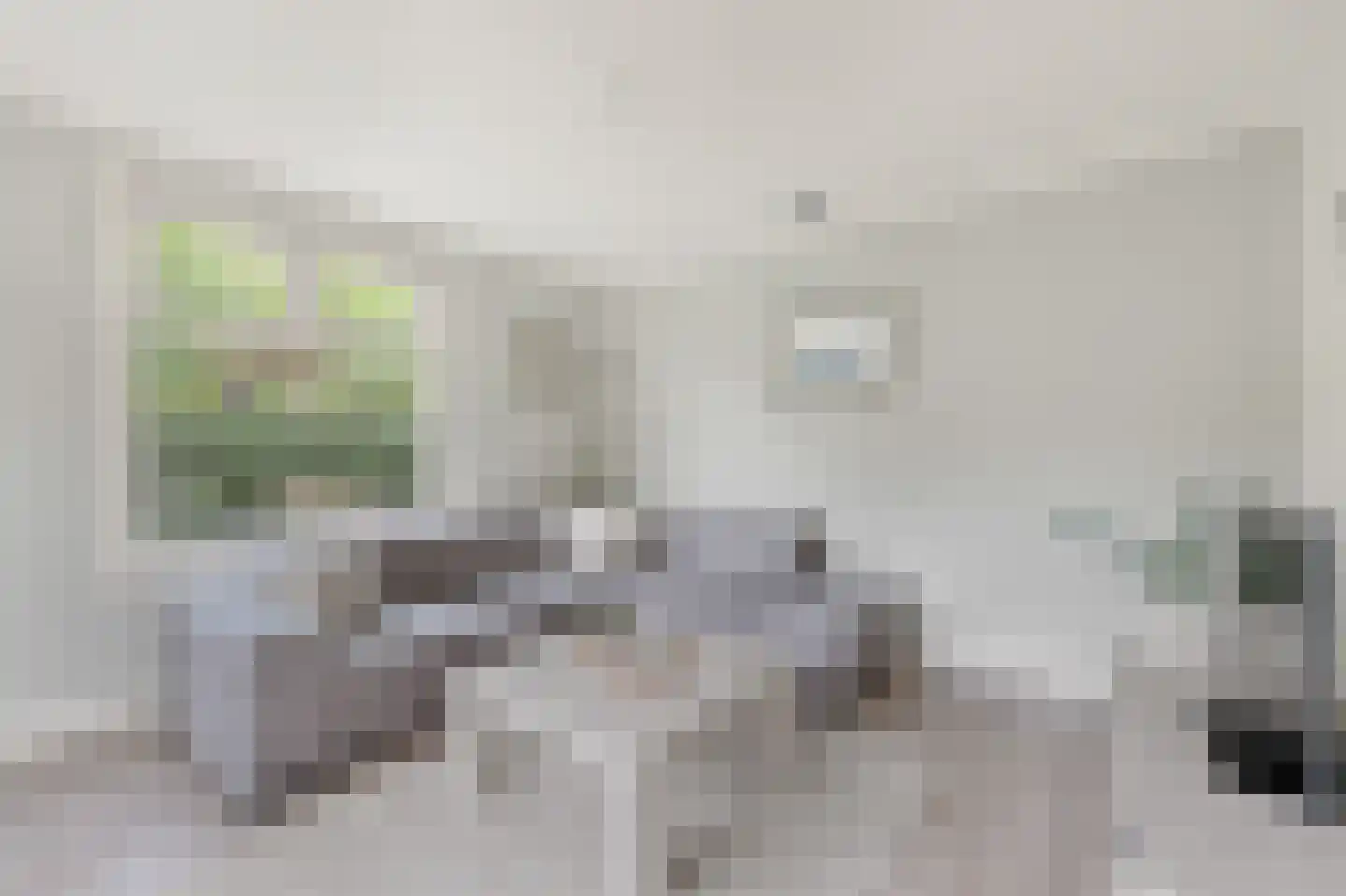 Boschmansweg 21 Schoorl thumbnail 7