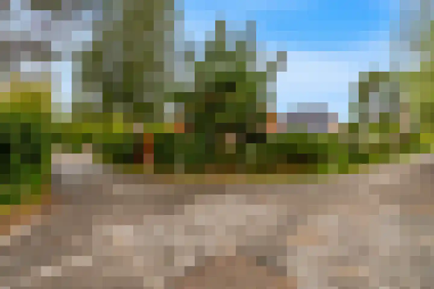 Boschmansweg 21 Schoorl thumbnail 70