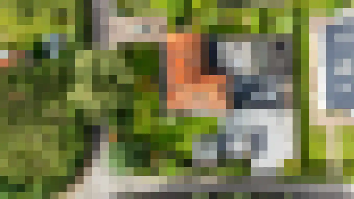 Boschmansweg 21 Schoorl thumbnail 74