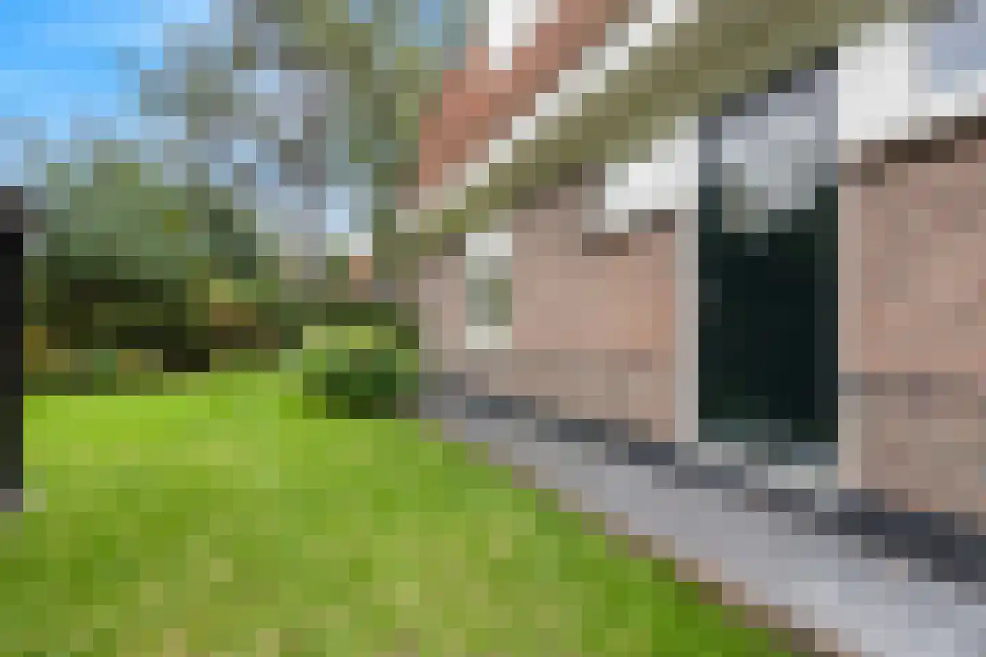 Boschmansweg 21 Schoorl thumbnail 75