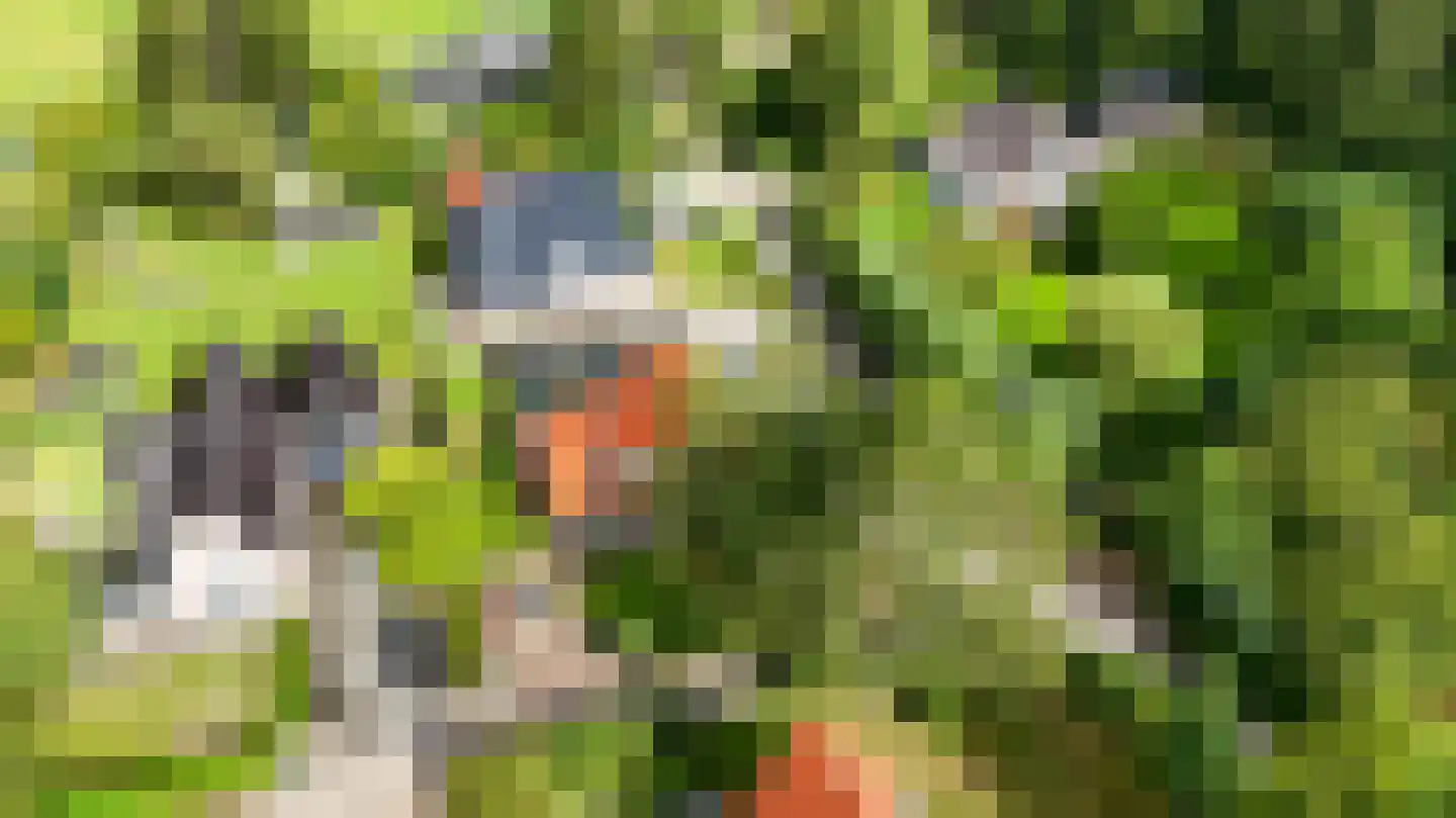 Boschmansweg 21 Schoorl thumbnail 75