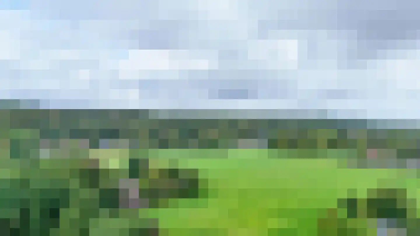 Boschmansweg 21 Schoorl thumbnail 76