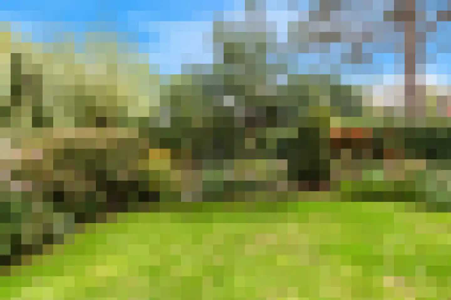 Boschmansweg 21 Schoorl thumbnail 76