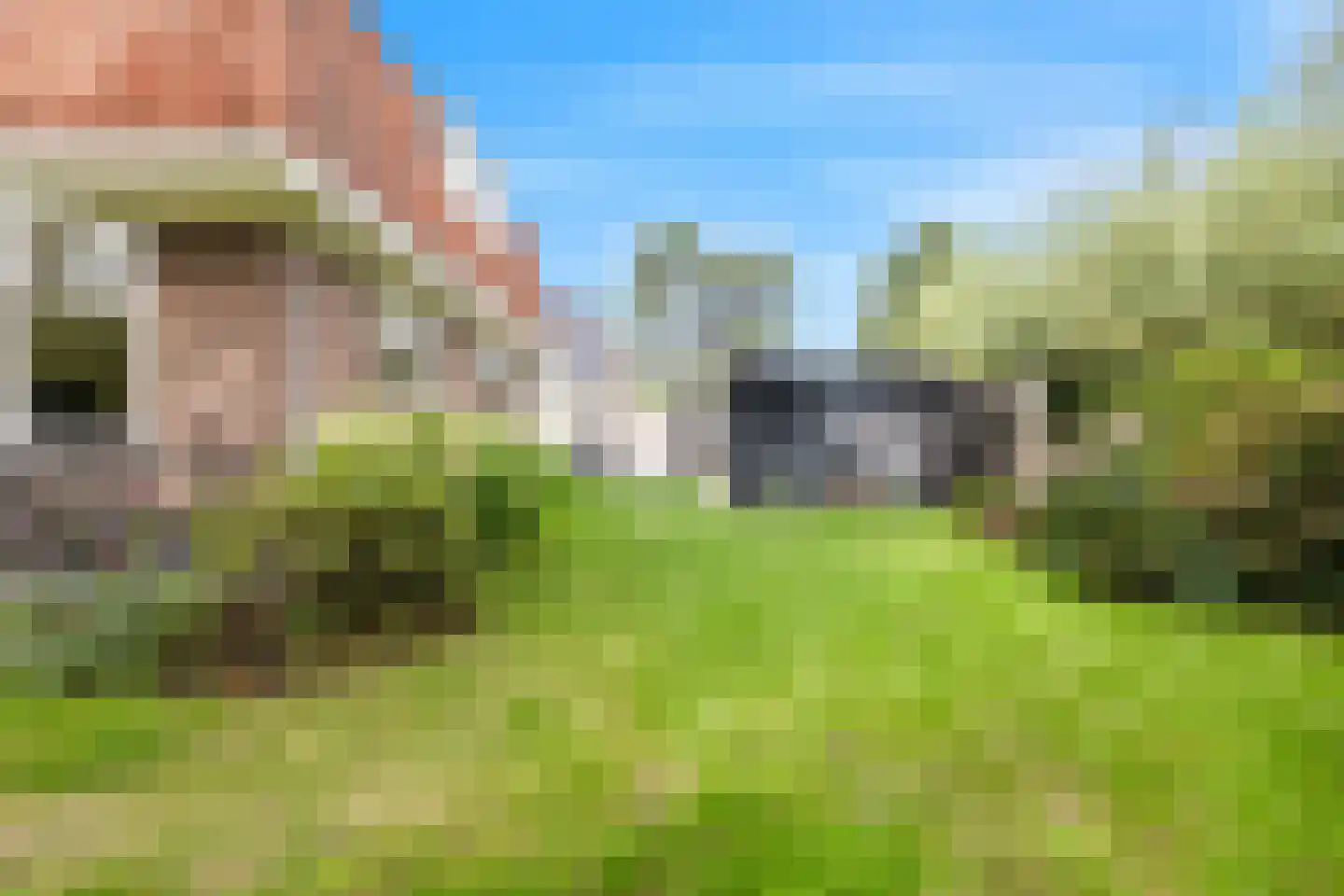 Boschmansweg 21 Schoorl thumbnail 77