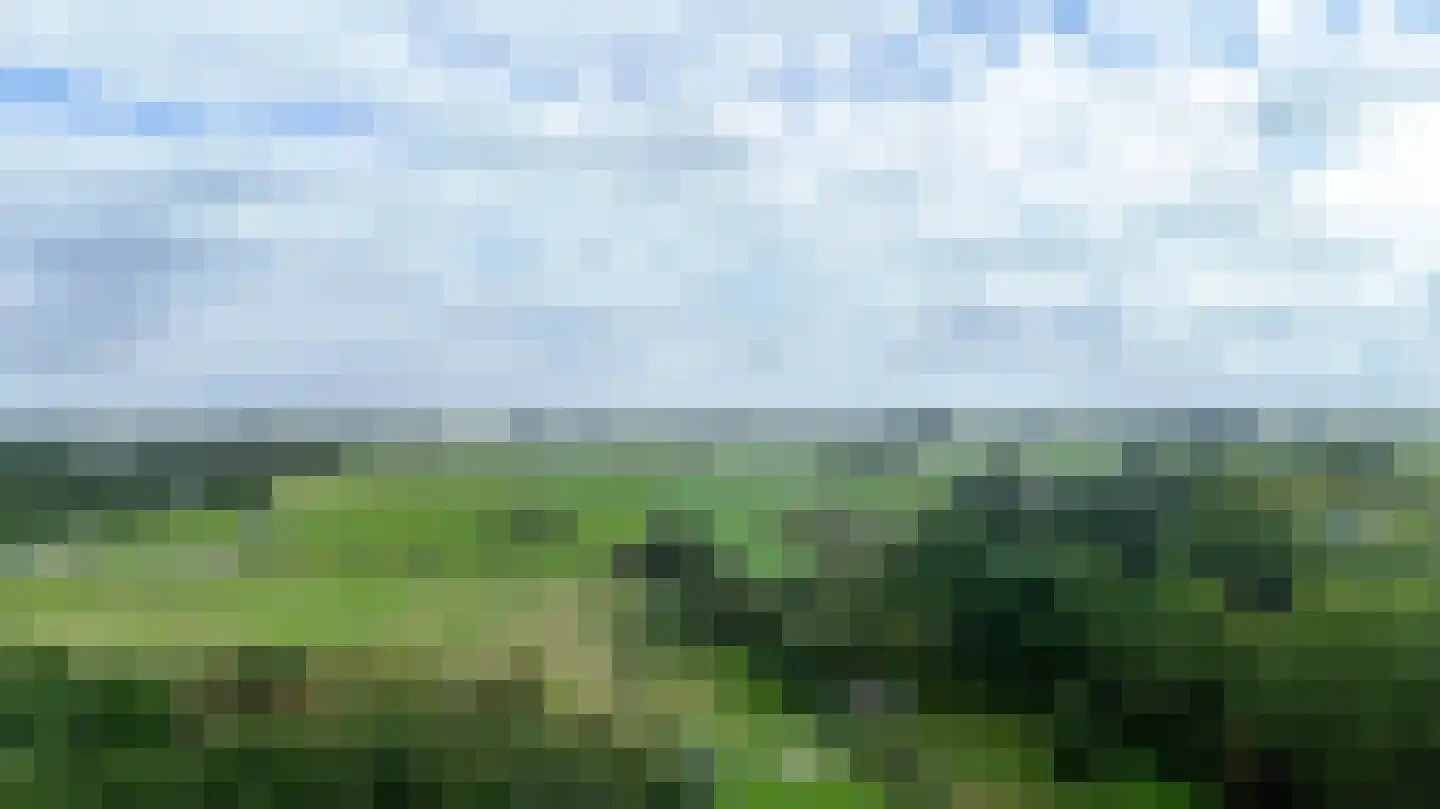 Boschmansweg 21 Schoorl thumbnail 77
