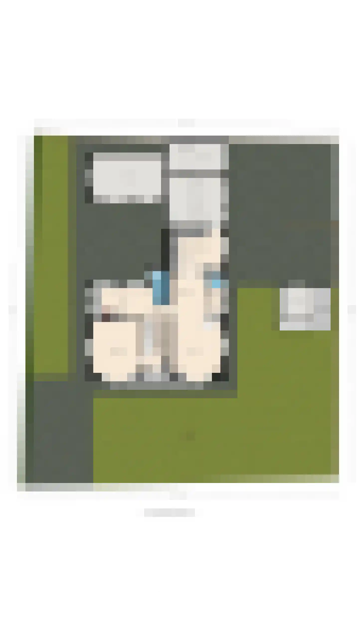 Boschmansweg 21 Schoorl thumbnail 78