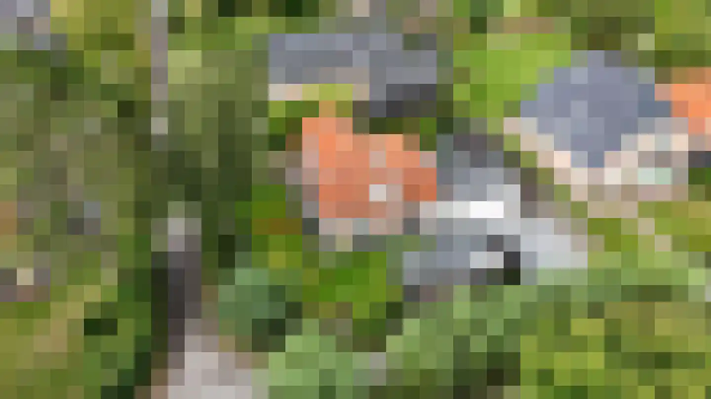 Boschmansweg 21 Schoorl thumbnail 81